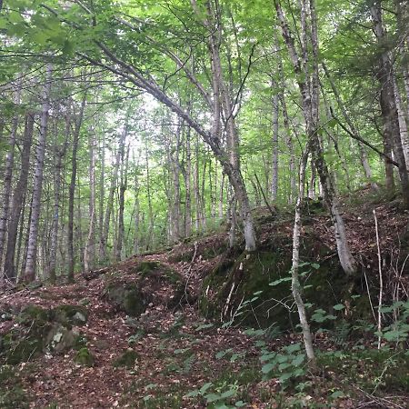 Chalet Nature Laurentides Val-des-Lacs Extérieur photo