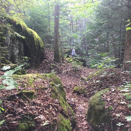 Chalet Nature Laurentides Val-des-Lacs Extérieur photo