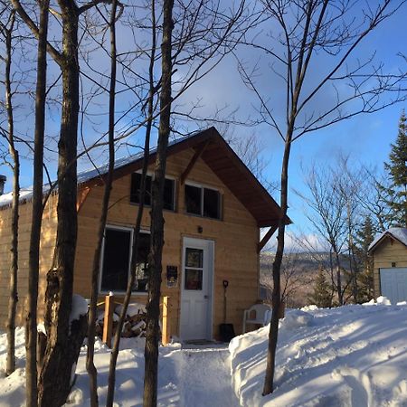Chalet Nature Laurentides Val-des-Lacs Extérieur photo