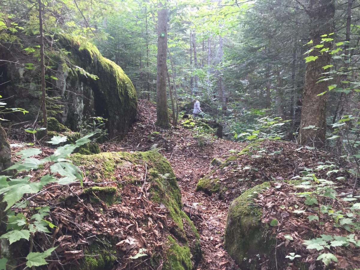 Chalet Nature Laurentides Val-des-Lacs Extérieur photo