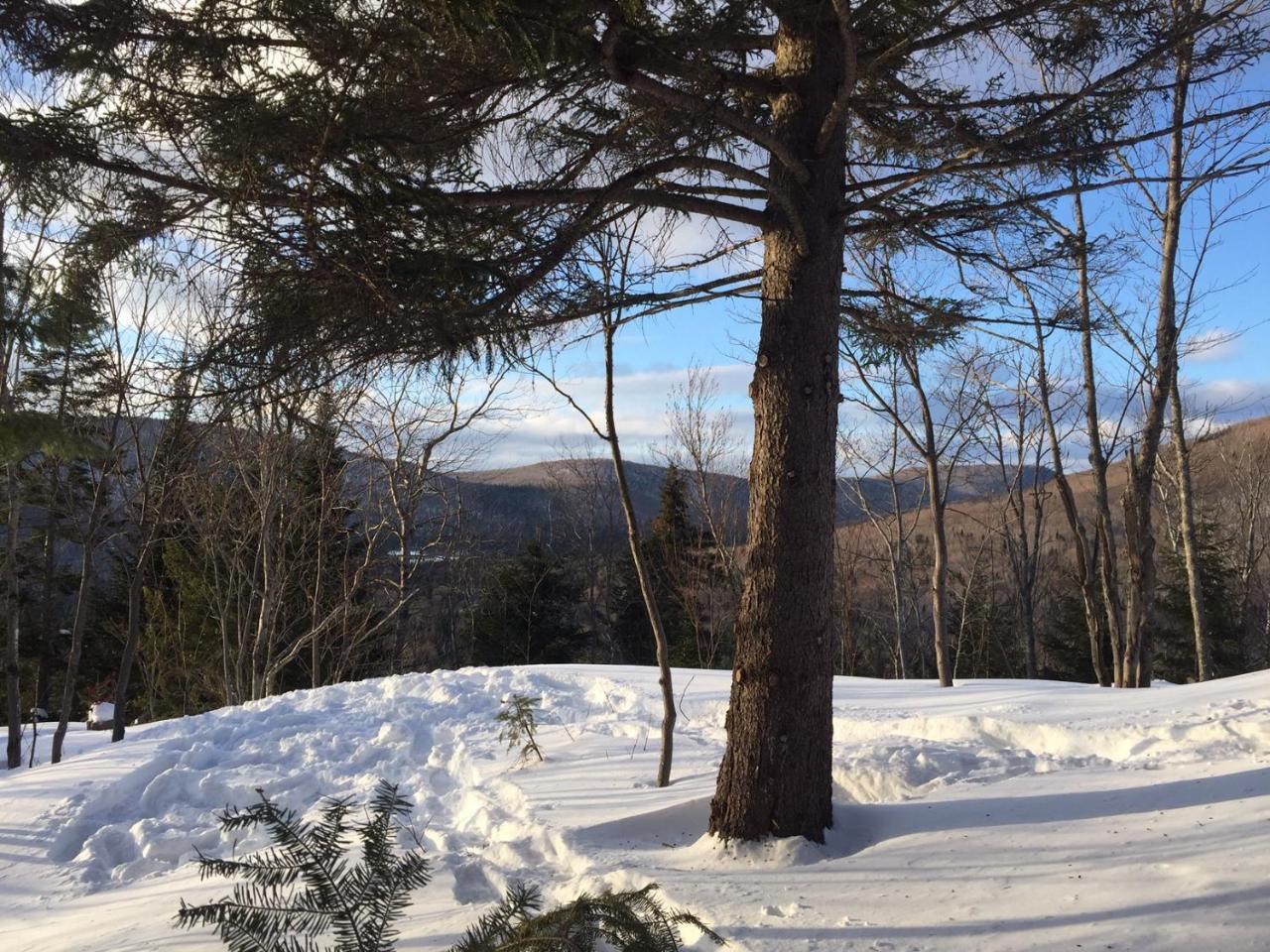 Chalet Nature Laurentides Val-des-Lacs Extérieur photo
